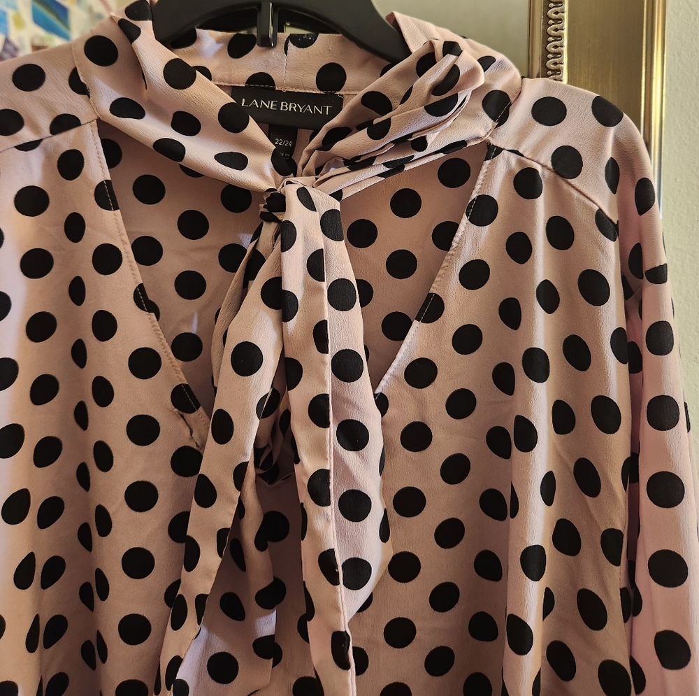 Pink Blouse